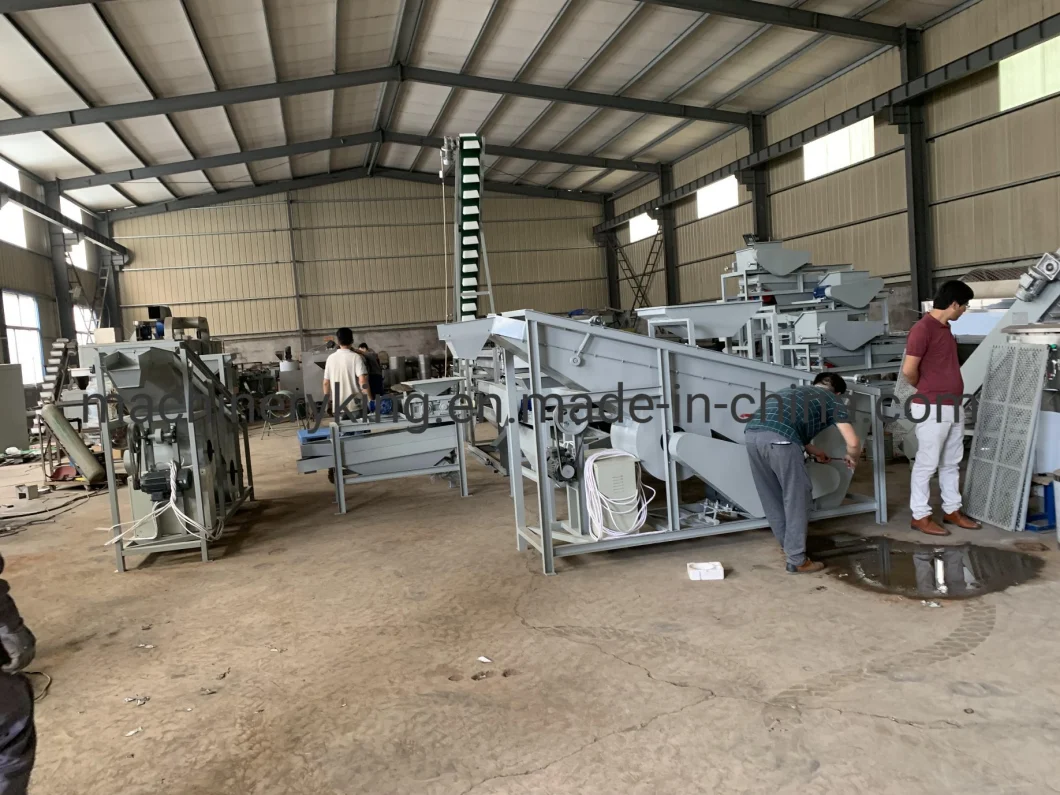 Automatic Pistachio Almond Peeler Sorting Grading Palm Kernel Processing Machines Nut Peeling Machine