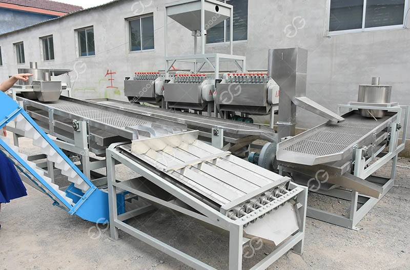 2022 Automatic Cashew Nut Cutting and Processing Factory Machine