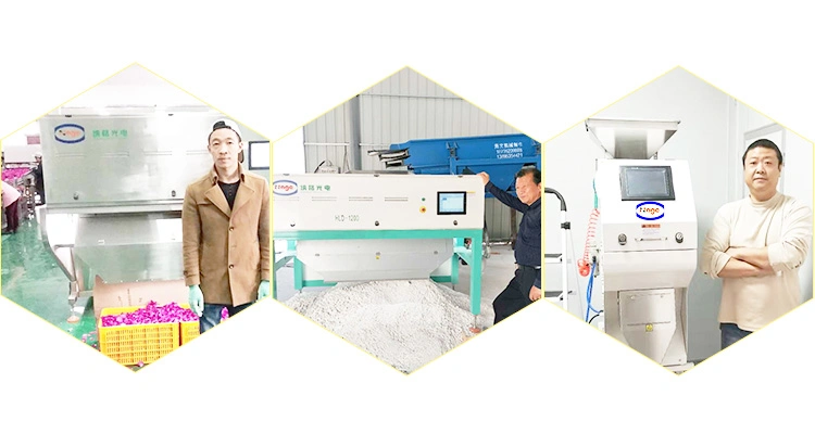 Cashew Nut Peanut Walnut Coconut Almond Apricot Nut Color Sorter Machine Processing Sorting Machine