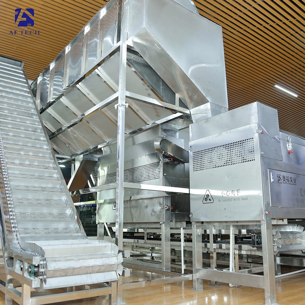 Food Grade Material Large Macadamia Nuts Sorting Peeling Drying Processing Line