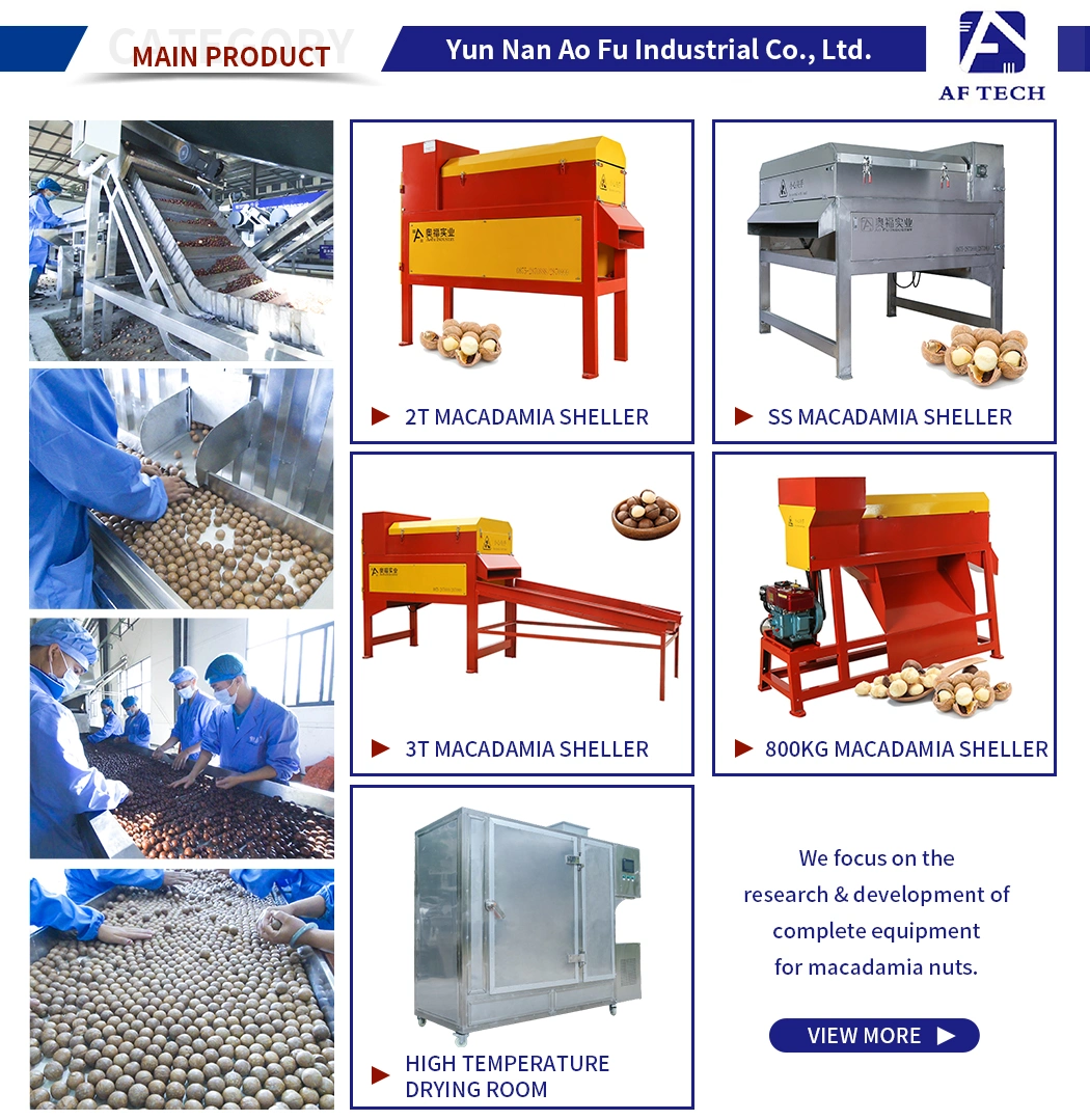 Food Grade Material Large Macadamia Nuts Sorting Peeling Drying Processing Line