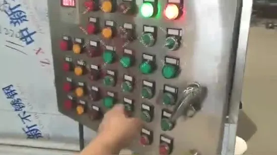 Industrial Cacao Bean Toaster Cereal Pistachio Roasting Sesame Seed Continuous Nut Peanut Roaster Machine