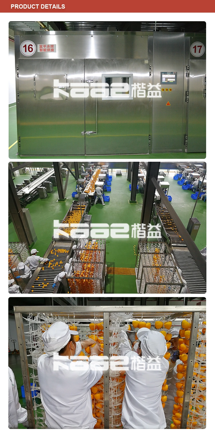 Commercial Stainless Steel Fruit Processing Line Persimmon Passion Fruit Orange Apple Cleaning Air Drying Sorting Line