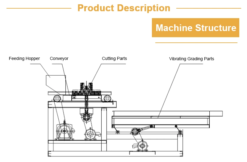 Lfm Automatic Macadamia Nuts Walnut Almond Cashew Nuts Peanut Chopping Cutting Machine