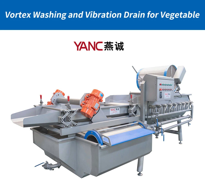 Fruit Cleaning, Waxing, Drying and Sorting Production Line